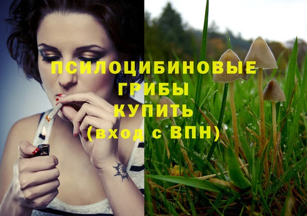 мдма Бородино