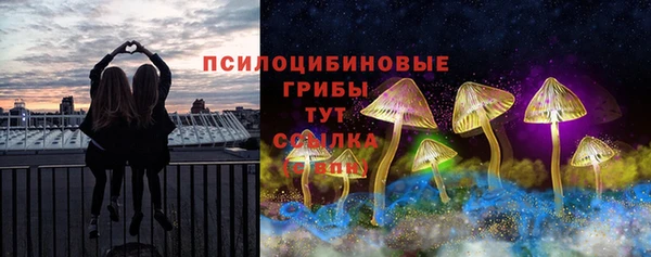 сатива Бугульма